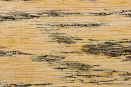 纹质木板木纹木头单板粮食谷物宏观背景图片