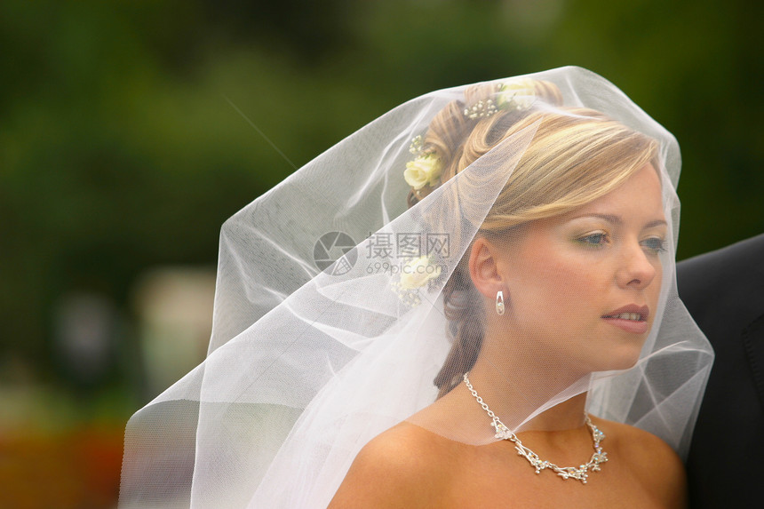 美丽的新娘生活花束女士面纱女孩婚礼钻石微笑已婚花朵图片