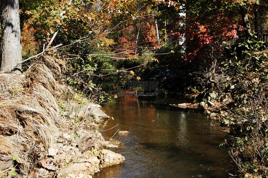 秋天的溪水公园绿色自然环境池塘天空反射叶子图片