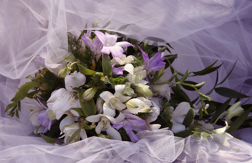 婚礼花束已婚手套女士粉色新娘家庭白色女性花店婚姻图片