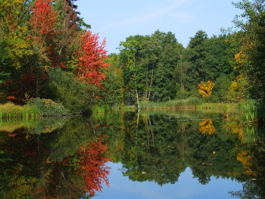 景象般的秋天风景 河流和明树及灌木丛林森林叶子旅行天空生态公园水域林地树叶日落图片