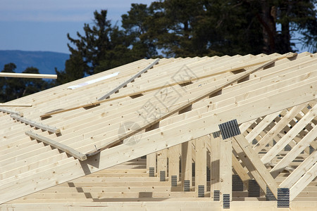 房屋建造建设建筑建筑学活动住宅小区天空进步阳光木材业森林背景图片