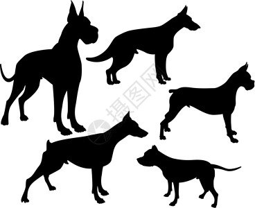 黑色杜宾犬狗背影黑色牧羊人阴影小狗拳击手斗牛犬动物插画