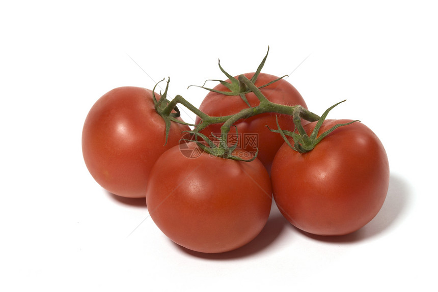 孤立的西红柿烹饪市场饮食农业味道植物食物蔬菜食品图片