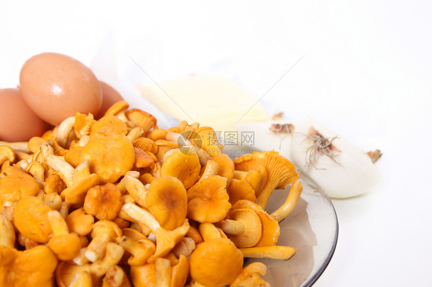 西巴里乌斯黄油产品黄色洋葱菌类树叶图片