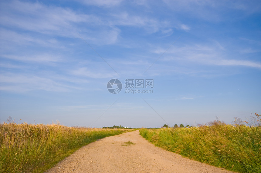 乡村道路 通过农田景观图片