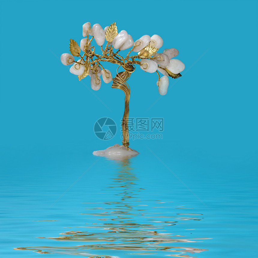 生长于水中的果树图片