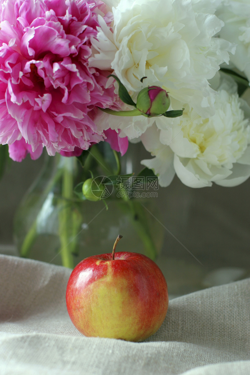 鲜花和苹果叶子花瓣花瓶牡丹红色花朵绿色白色花束季节图片