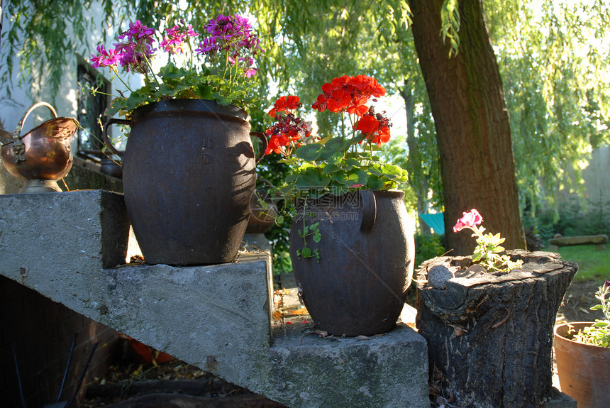 鲜花天气树木陶瓷村庄环境香味制品花盆喷壶红色图片