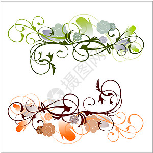 笔纹滚动帆布插图树叶装饰品艺术花朵花香橙子背景图片