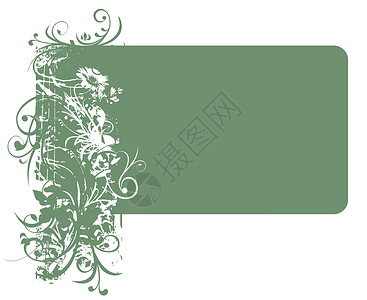 花卉背景装饰品框架艺术插图植物花朵帆布卡片背景图片