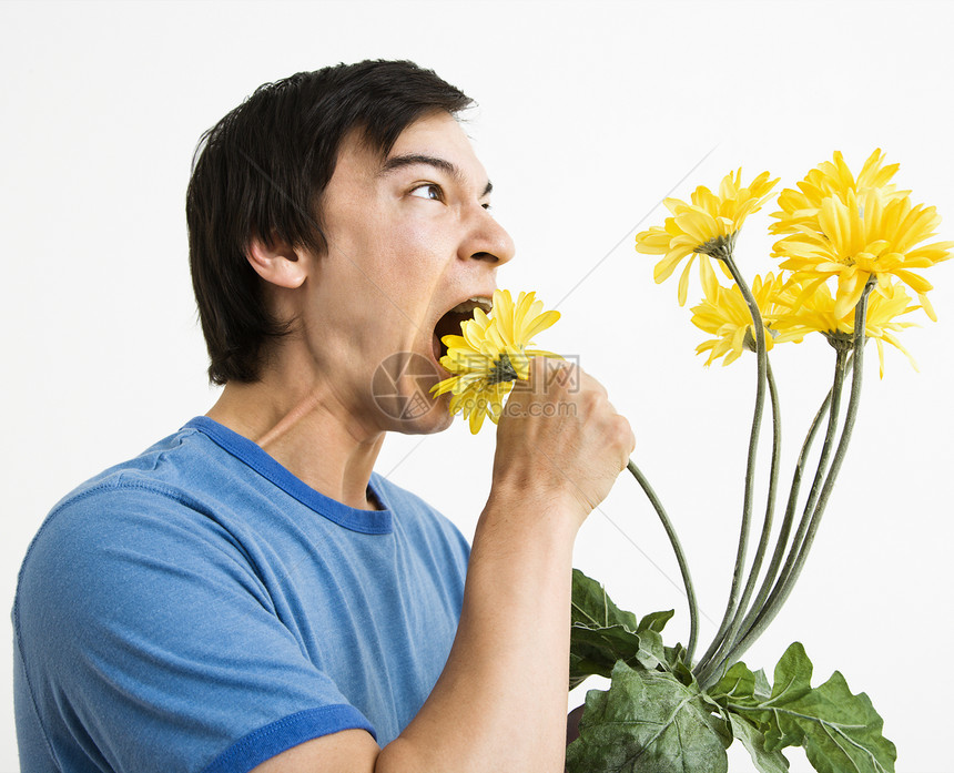 男人吃花束照片男性植物工作室雏菊表情水平黄色格柏黑发图片