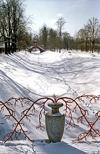 雪底有红色树枝的烟雾背景图片