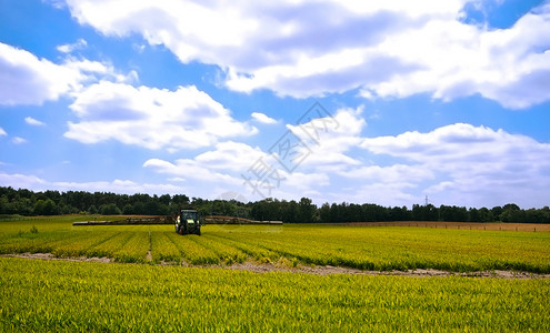 洒扫绿绿色农耕农田植物牧场乡村环境风景蓝色场地农村草地拖拉机背景