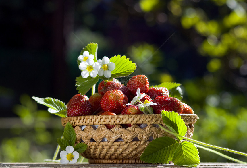 夏季花园的草莓篮子图片