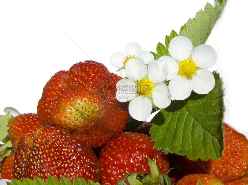 新鲜草莓水果和鲜花图片