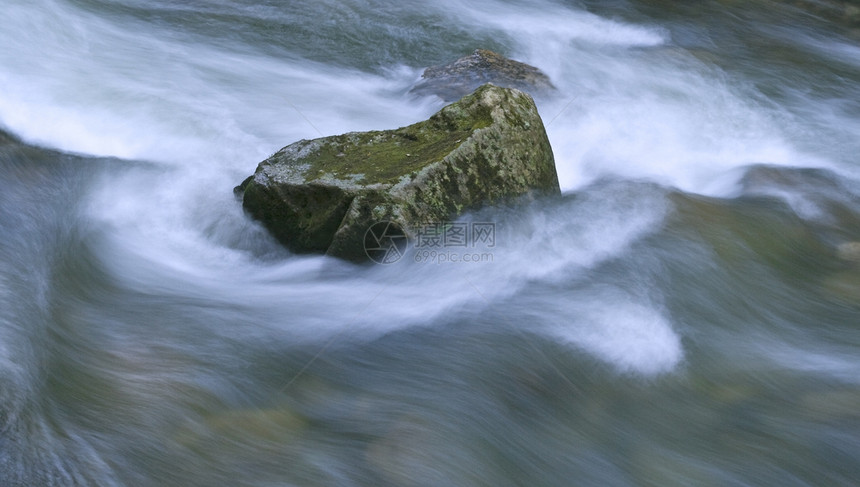 水种子岩石力量速度溪流激流苔藓泡沫流动洪水运动图片