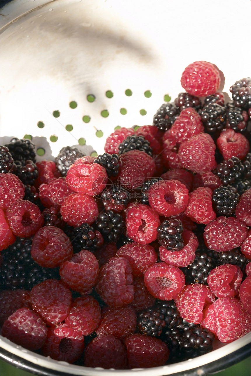 黑莓和草莓浆果植物群健康花园水果覆盆子食物图片