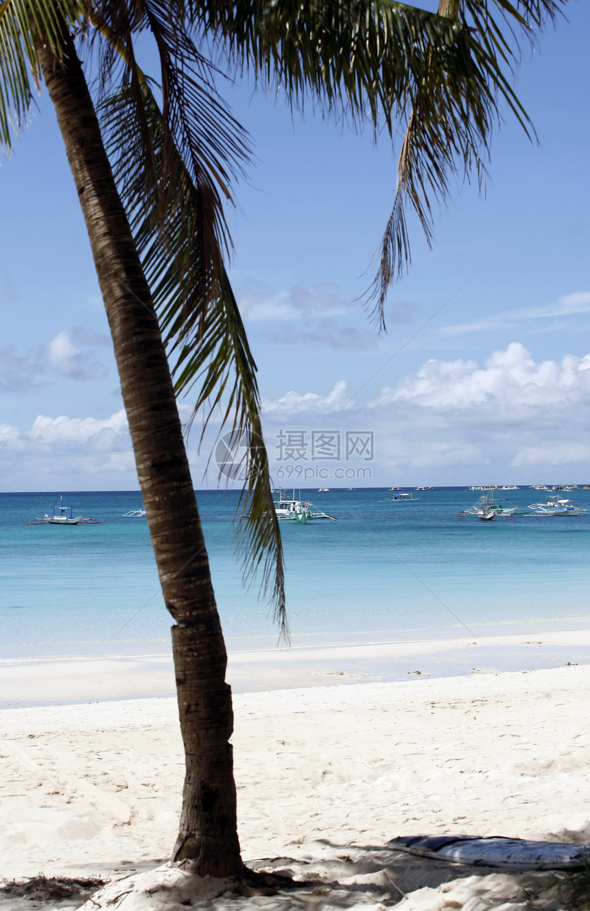 海上船只旅行海浪游泳蓝色晴天钓鱼呼吸管棕榈潜水假期图片