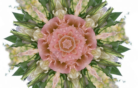 粉色和绿花抽象背景图片