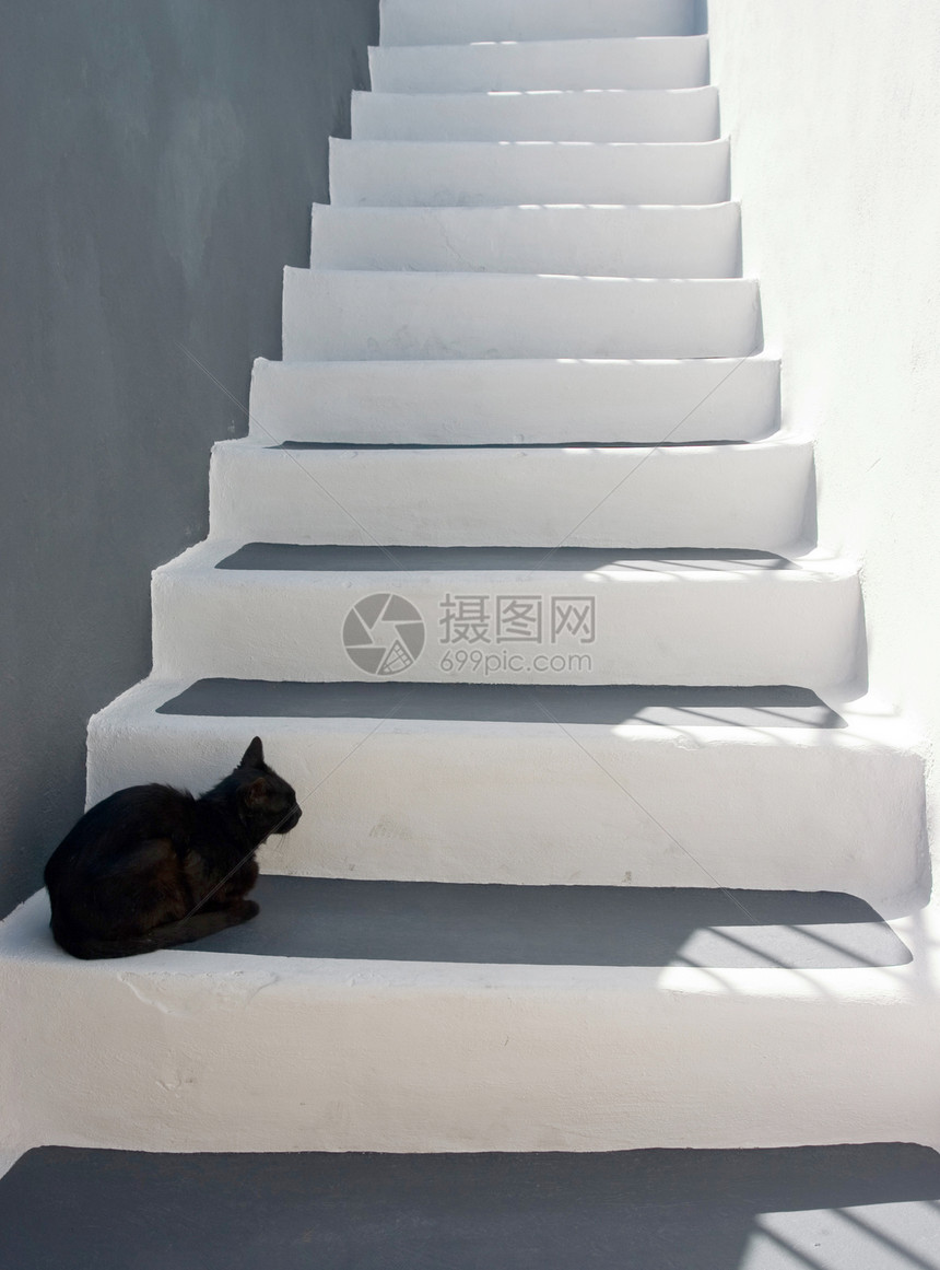 黑猫在楼梯上图片