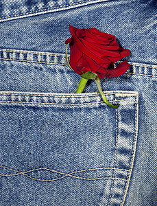 口袋里有一朵玫瑰红色蓝色衣服牛仔裤背景图片