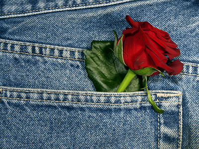 口袋里有一朵玫瑰衣服红色蓝色牛仔裤背景图片