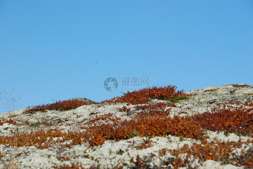 秋山苔藓爬坡蓝色图片