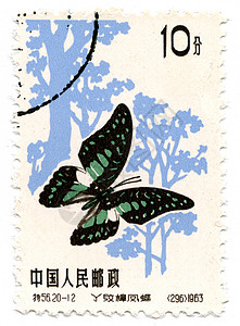 中国旧邮票实际规模蝴蝶邮戳集邮邮政昆虫邮件邮资插图背景图片