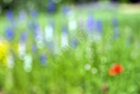 花粉模糊红色黄色白色印象派蓝色绿色情绪背景图片