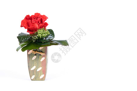 花瓶中的红玫瑰红色叶子绿色背景图片