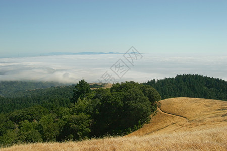 塔马尔佩斯山顶峰地区性的高清图片