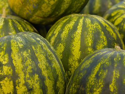 西瓜食物水果绿色营养甜瓜背景图片