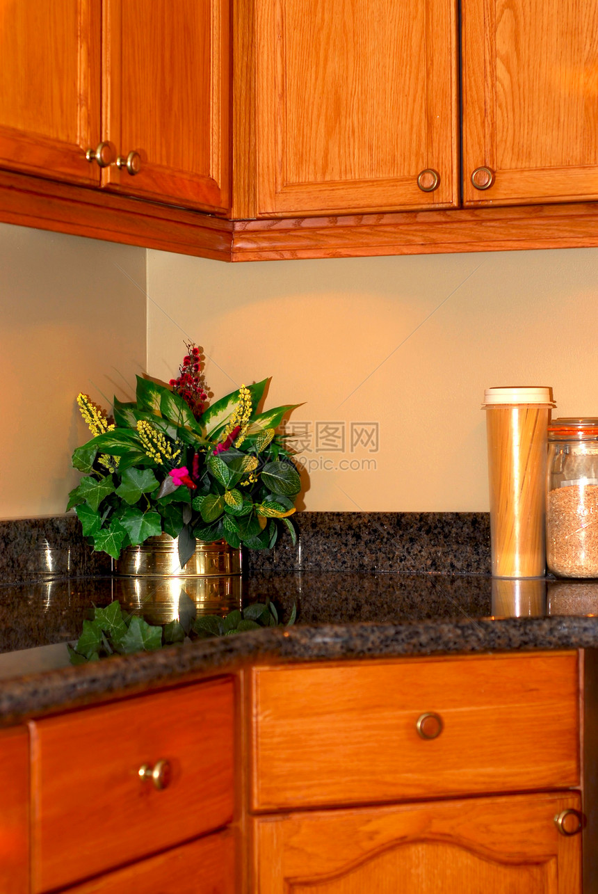 厨房内花瓶花朵橡木台面装饰住宅内阁设计师财产风格图片