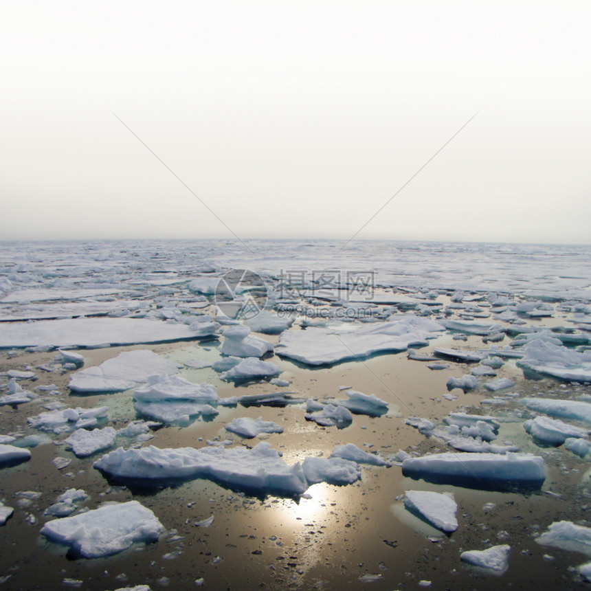 北极环境全球沙漠海洋图片