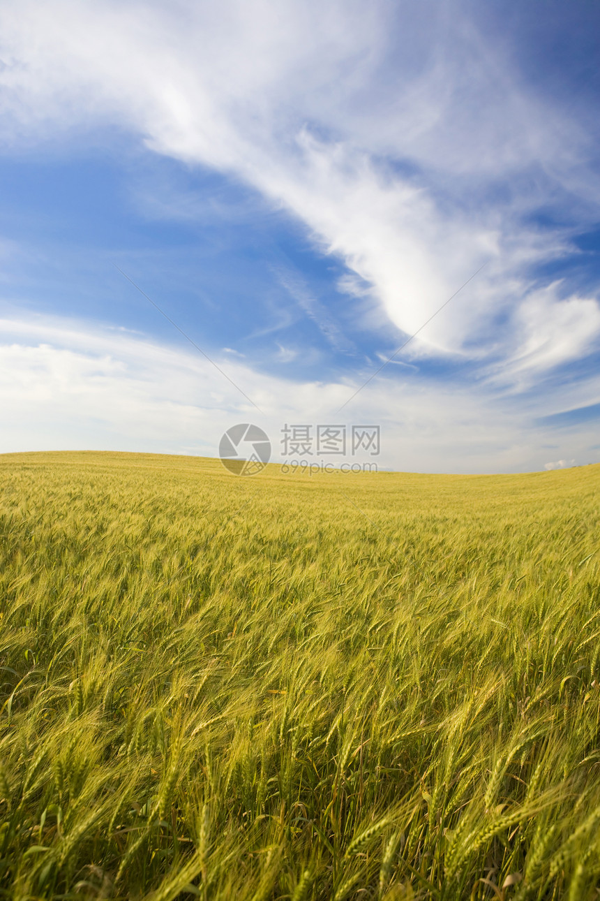 充满田地和美丽的天空的风景牧场天气土地国家空气晴天远景农场植物蓝色图片