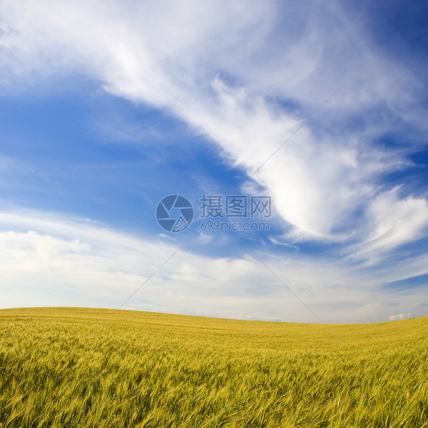 充满田地和美丽的天空的风景场地植物蓝色太阳农村天气晴天草地远景阳光图片