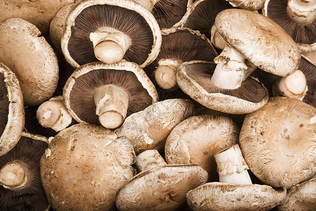 波多贝罗蘑菇可口意大利语高清图片