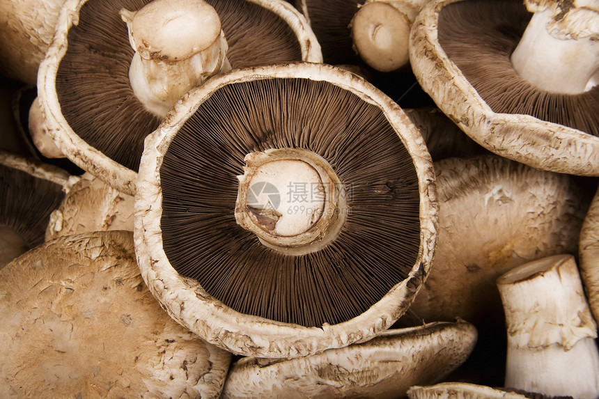 波托贝罗蘑菇厨房农场烹饪生产菌类美食市场杂货商纸板食物图片