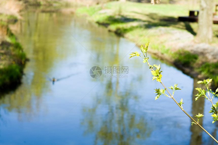 春溪蓝天激流蓝色绿色图片