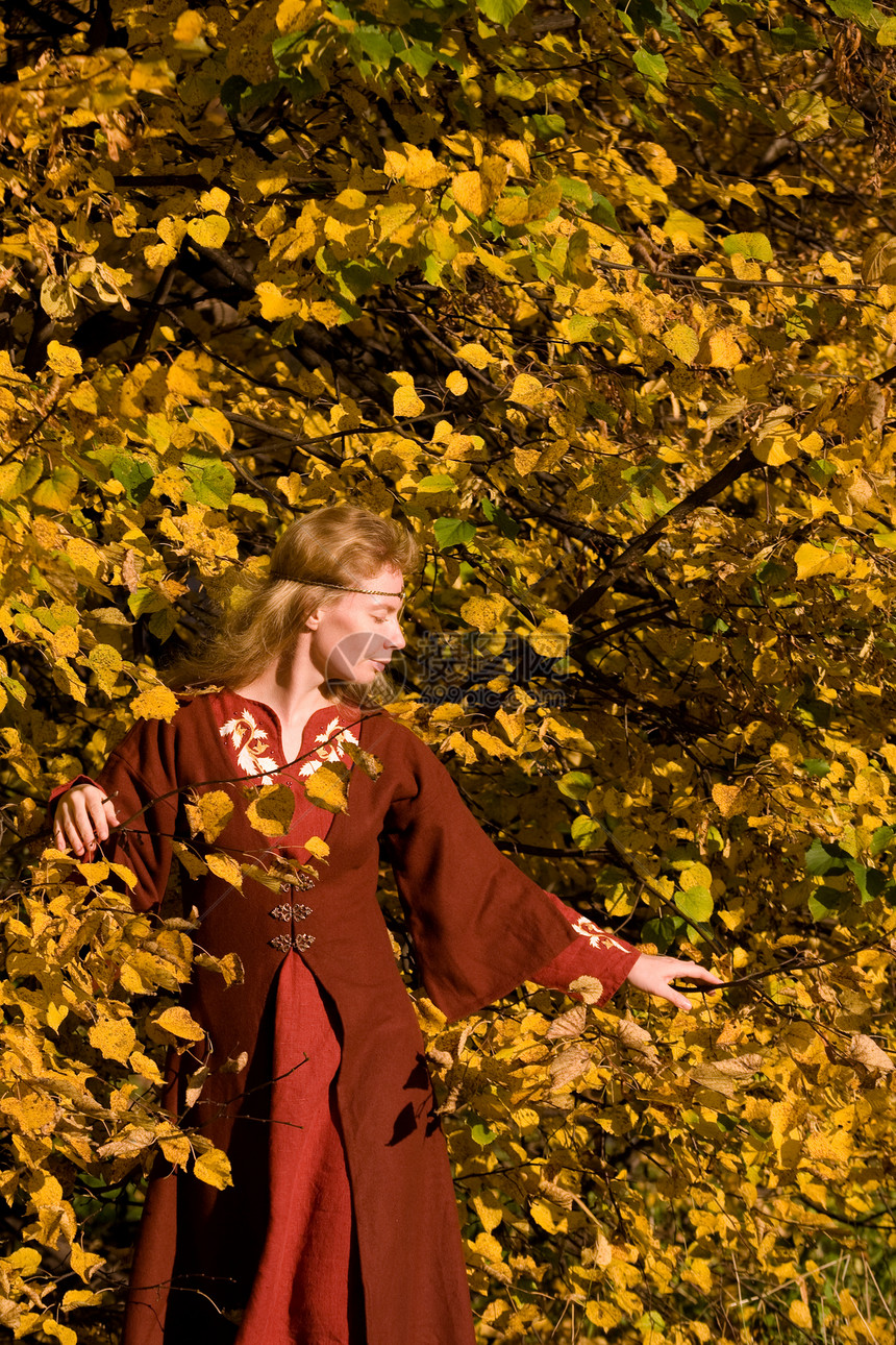 秋林中的精灵公主树叶森林神话小精灵冠冕衣服女士戏服裙子图片