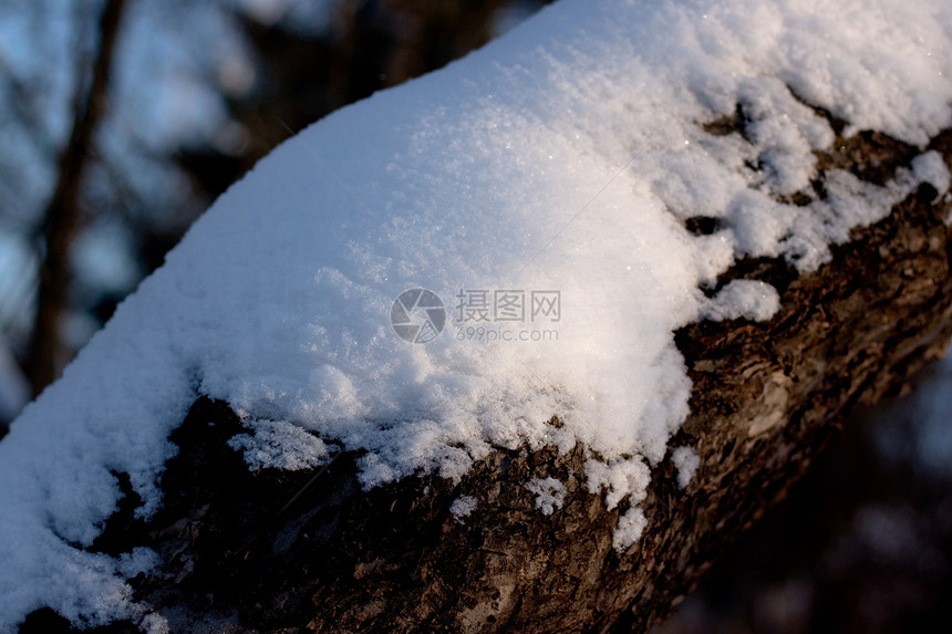 雪雪球季节对角线黑色棕色阳光晴天白色雪堆偏见阴影图片