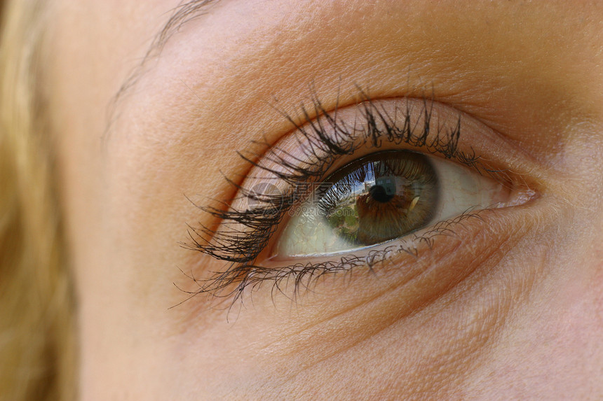 女性眼眼皮睫毛角膜美丽手表绿色魅力眼睛身体眼球图片