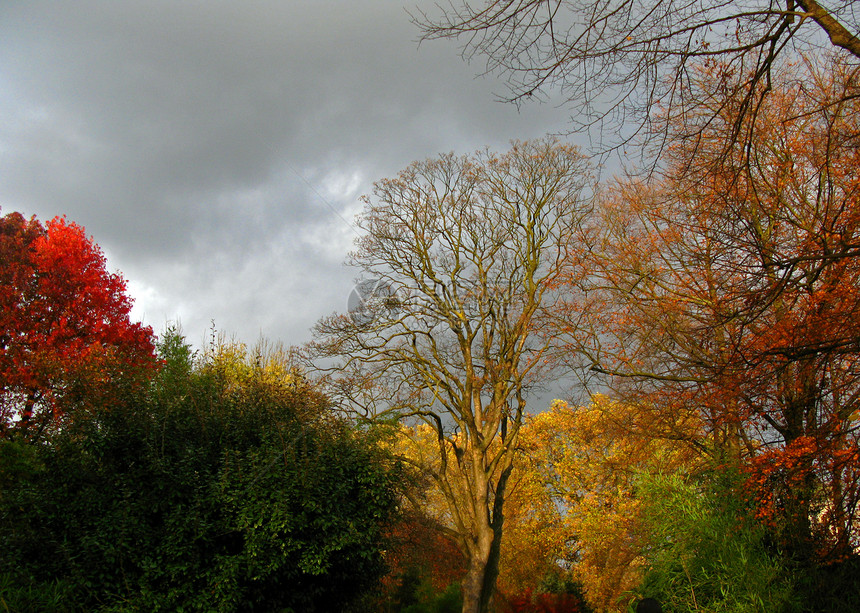 充满多彩的秋季图片
