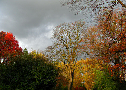 充满多彩的秋季背景图片