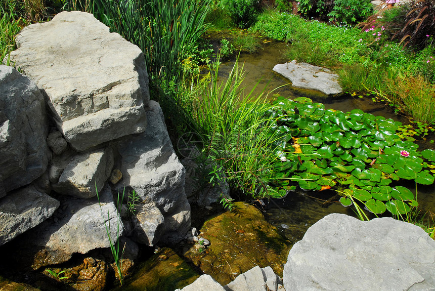 园林景观美景后院岩石花园绿色院子流动美化植物瀑布石头图片