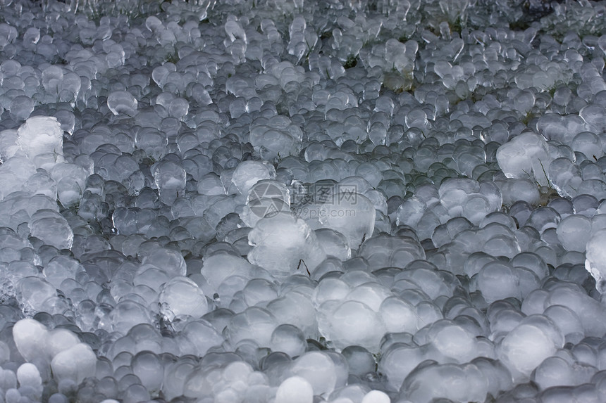 冻结水晶植物白色宏观玻璃季节季节性图片