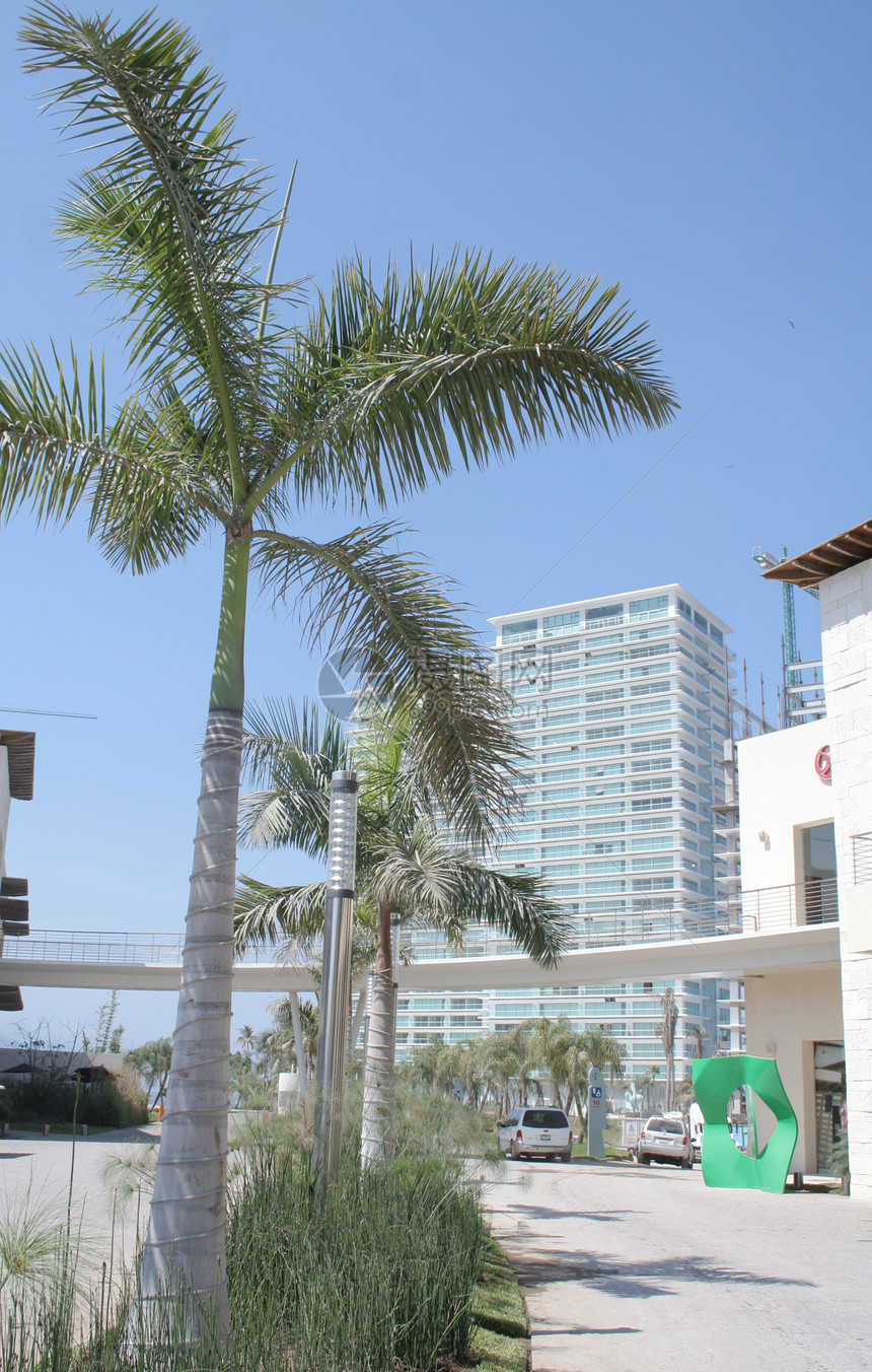 现代酒店海岸景观财富纪念碑地标市中心财产城市棕榈中心图片