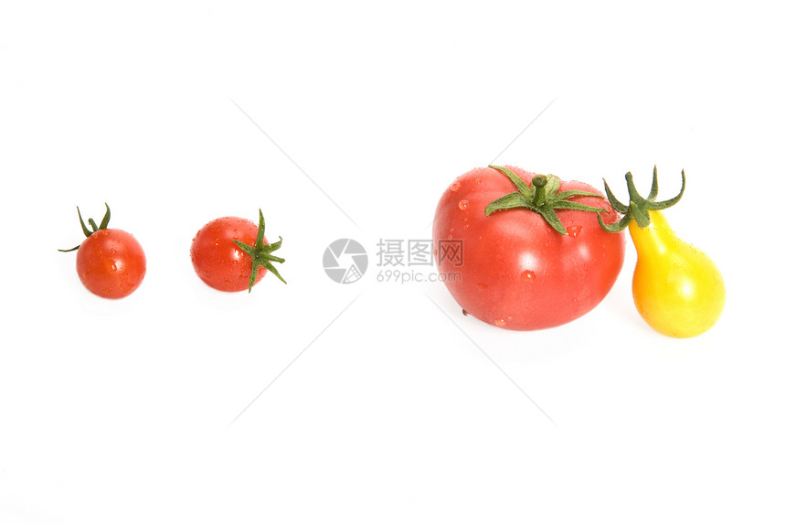 番茄花园红色黄色营养收成食物白色饮食蔬菜烹饪图片