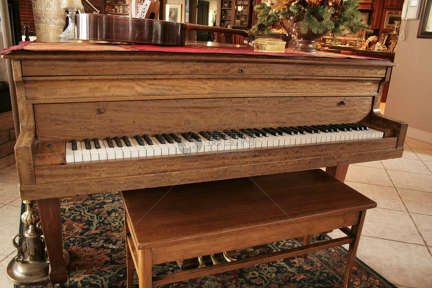 钢琴教育房子乐器客厅曲调笔记奢华乌木线条压缩图片